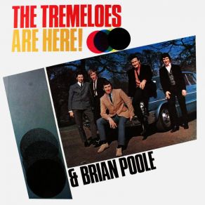 Download track Well, Who's That The Tremeloes