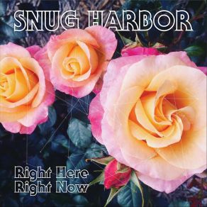 Download track Mask In The Mirror Snug Harbor