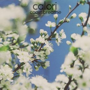 Download track Remember Childhood Calori