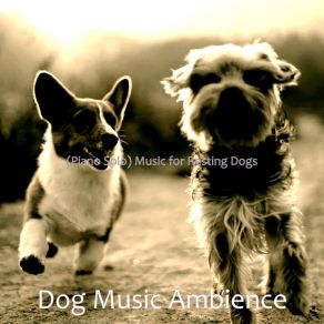 Download track Fashionable Puppies Dog Music Ambience