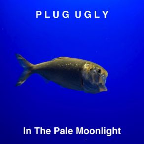 Download track In The Pale Moonlight Plug Ugly