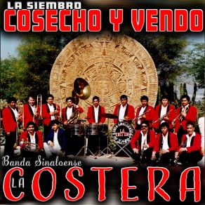 Download track El Camarón Banda Sinaloense La Costera