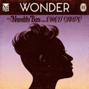 Download track Wonder (Kidnap Kid Remix) Naughty Boy