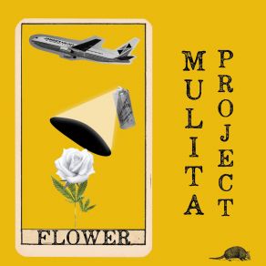 Download track Flower (Radio Edit) Mulita Project