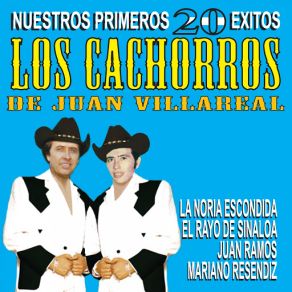 Download track El Rayo De Sinaloa Los Cachorros De Juan Villarreal