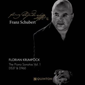 Download track Sonata In A Minor, D537: II. Allegretto Quasi Andantino Florian Krumpöck