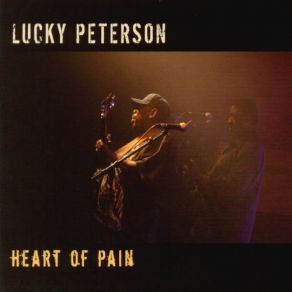 Download track Age Ain't Nothing But A Number Lucky Peterson, Various Interprets