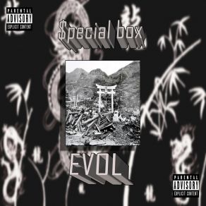 Download track Special Box Evol