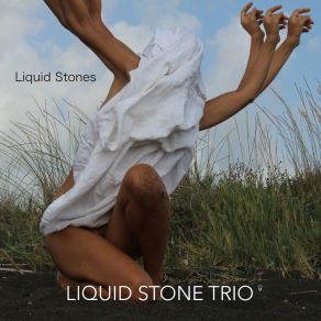 Download track Wake Up Liquid Stone Trio