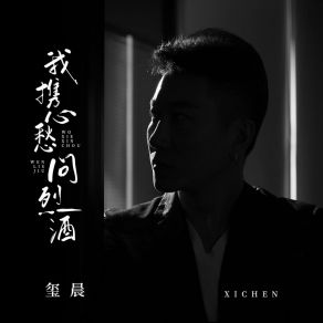 Download track 我携心愁问烈酒 (Dj京仔版) Chen Xi京仔