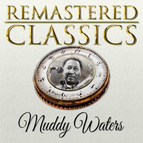 Download track Country Boy Muddy Waters