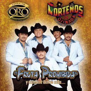 Download track Aunque Me Duela El Corazon Norteños De Ojinaga