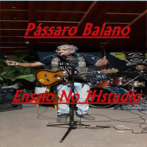 Download track O Fim E O Começo Do Bom (Ao Vivo) Pássaro Baiano