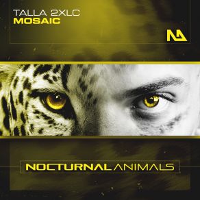 Download track Mosaic (Extended Mix) Talla 2XLC