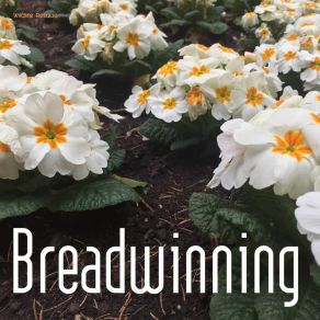 Download track Breadwinning Wildlife Rescue