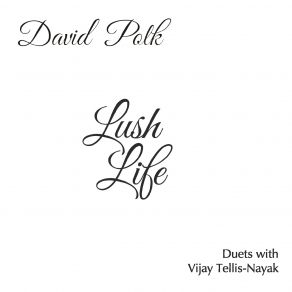 Download track Stardust (Live) David Polk