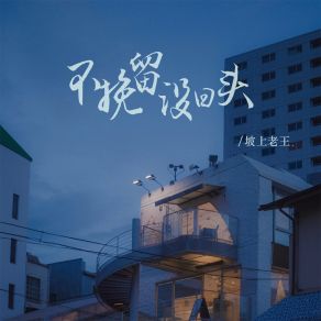 Download track 不挽留没回头 (Dj默涵版) 坡上老王默涵