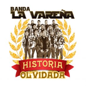 Download track Corrido De Alejandro Banda La Vareña