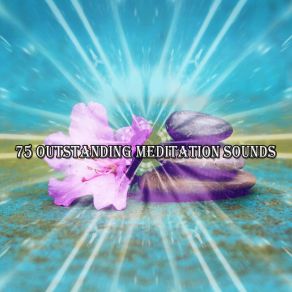 Download track Metamorphoses White Noise Meditation