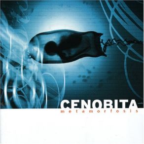 Download track Indiferencia Cenobita