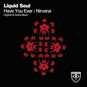 Download track Nirvana (Radio Edit) Liquid Soul