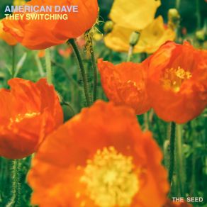 Download track UHM American Dave