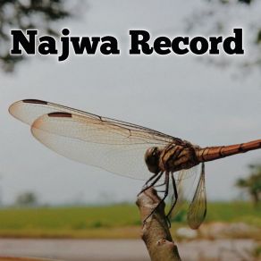 Download track Cinta Sejati Najwa Record