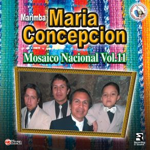 Download track Mosaico Nacional Vol. 11: Flores De Centroamérica / Boca Con Boca / Añoranza / Una Caricia Para Ti / Chichicastenango / La Tempestad / Chiquimula / Carcha / Agua Blanca / Convite Quichelense Marimba Maria Concepcion