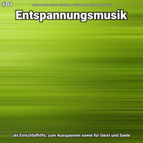 Download track Entspannungsmusik Teil 45 Entspannungsmusik