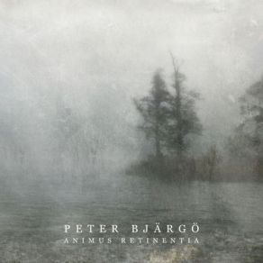 Download track You Let The Light Shine Through Peter Bjärgö