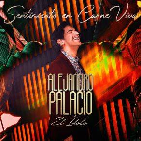 Download track Sabes Que Me Encantas (Remix) Alejandro PalacioJ Álvarez