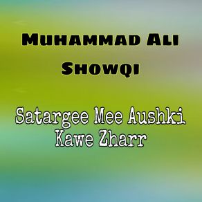 Download track Sapeen Makh C Muhammad Ali Showqi