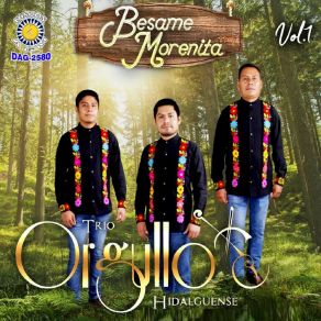 Download track El Son De La Rabia Trio Orgullo Hidalguense