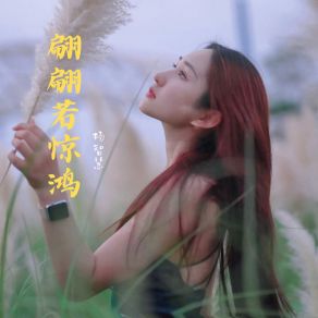 Download track 翩翩若惊鸿 (伴奏) 杨智慧