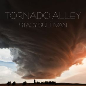 Download track This Land Is Your Land / I Think It's Going To Rain Today / Blowin' In The Wind Stacy Sullivan