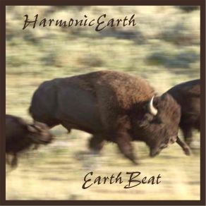 Download track Indio (Hindu And Shoshone Prayer) Harmonicearth