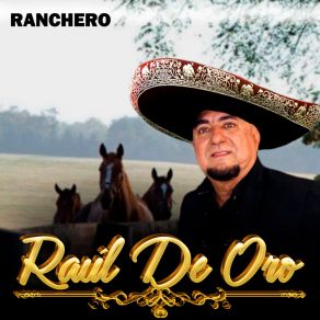 Download track Me Caíste Del Cielo (Cover) RAUL DE ORO