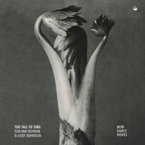 Download track Little Bird Of Bad Omen (Ty-Yt) Jozef Dumoulin, Flin Van Hemmen, Too Tall To Sing