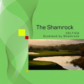 Download track Rocky Road To Dublin Shamrock