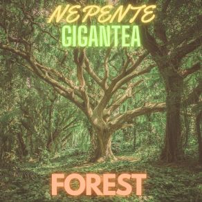 Download track Distinguished Nepente Gigantea