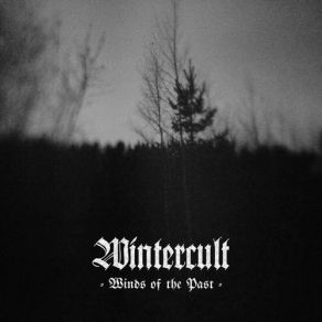 Download track Illa Tiðandi (Burzum Cover) Wintercult