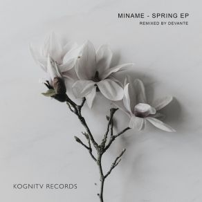 Download track Spring (DeVante Radio Edit) MinameDevante