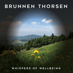 Download track Meditation Practice Brunnen Thorsen