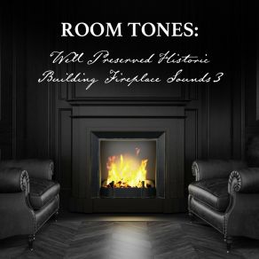 Download track Well Preserved Historic Building Fireplace Sounds, Pt. 20 Nowak Sommer