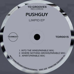 Download track Into The Wind (Original Mix) Pushguy