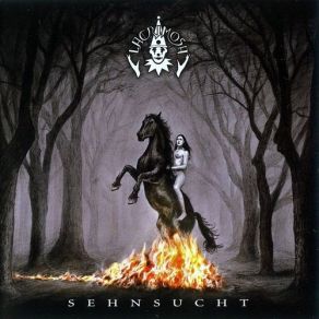 Download track Der Tote Winkel (Special Version) Lacrimosa