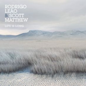 Download track Nothings Wrong Rodrigo Leão, Scott Matthew