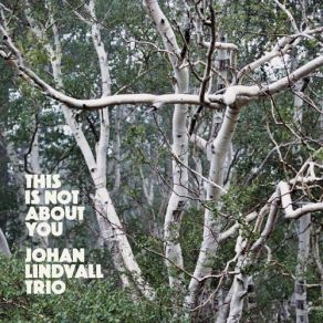 Download track Last Time Johan Lindvall Trio