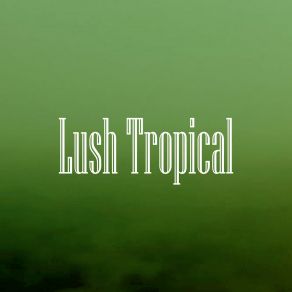 Download track Lush Tropical Groove Vadim Vogue