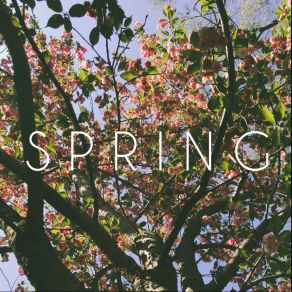 Download track Spring (Disc I) Jola Yvés